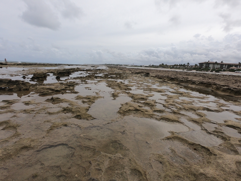 G0056838 - O que fazer na Praia de Muro Alto em Porto de Galinhas