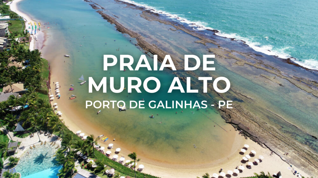 Red and White Environment Nonprofits Activism Youtube Video Intro 14 1024x576 - O que fazer na Praia de Muro Alto em Porto de Galinhas