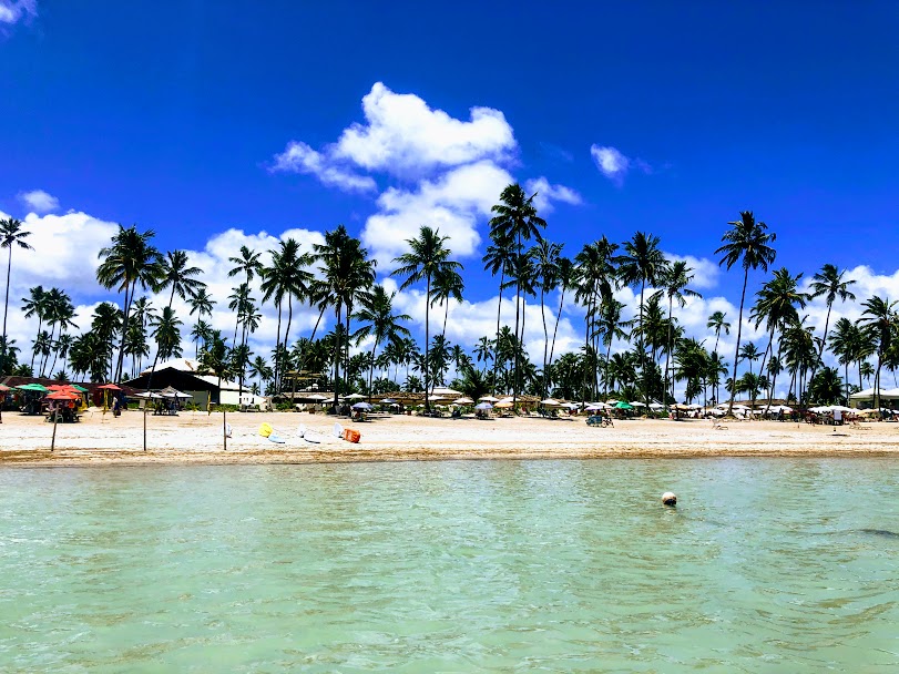 PONTA DE MANGUE6 - Praia de Ponta de Mangue em Maragogi